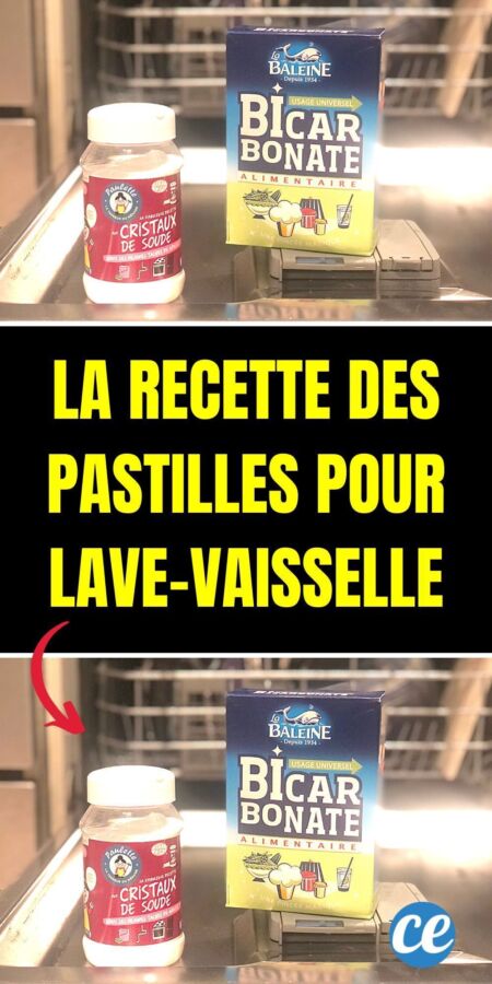 Pastille lave-vaisselle écologique