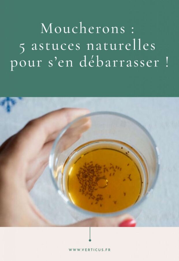 Produit anti moucheron maison : Éliminez les nuisibles efficacement
