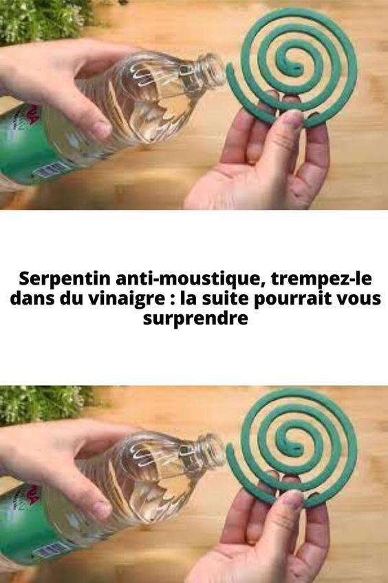 Solution maison anti-moucheron