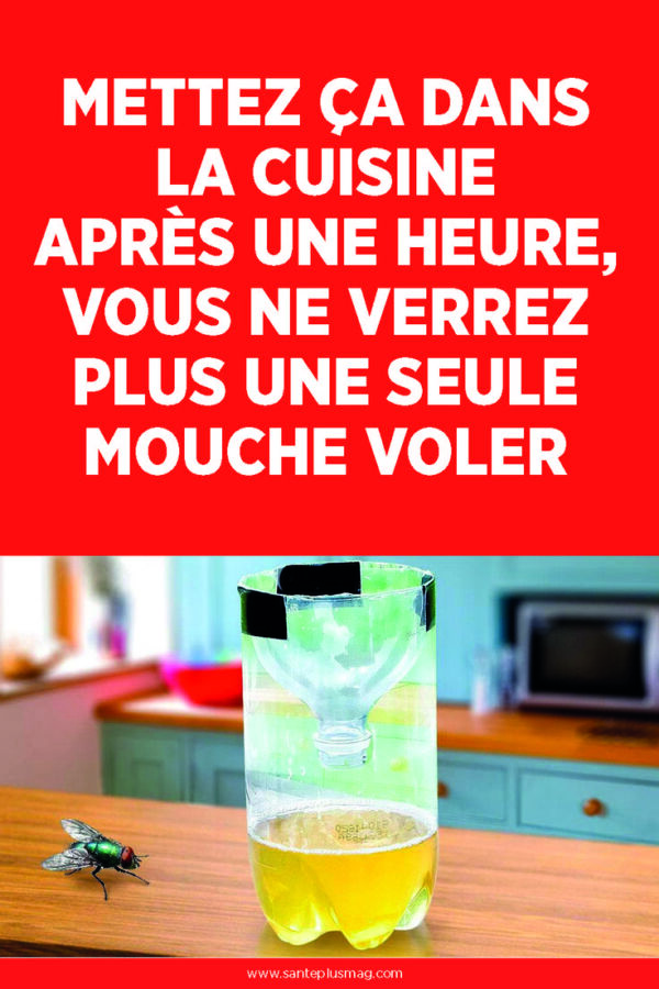 Solution maison anti-moucheron