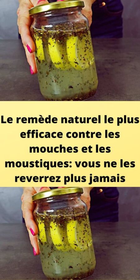 Solution maison anti-moucheron