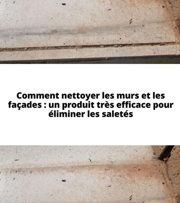 Produit pour nettoyer les façades des maisons : comment préserver l&rsquo;éclat de votre habitat