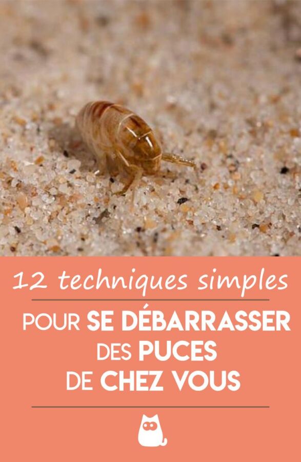 Remède naturel anti-puce textile