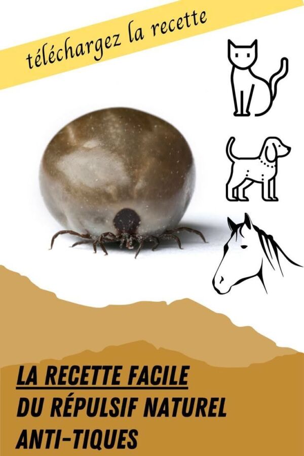 Remède naturel anti-puce textile