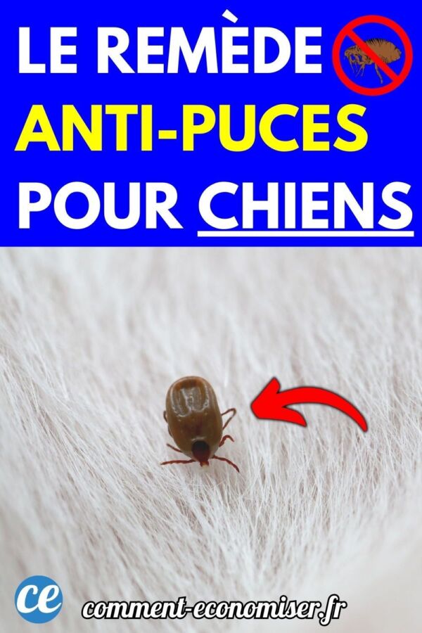 Remède naturel anti-puce textile