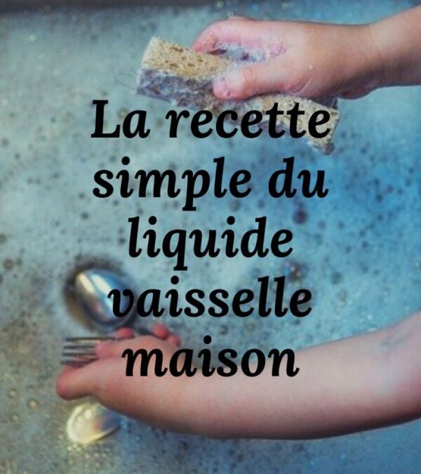 Liquide vaisselle maison : recette de grand-mère pour un nettoyage efficace et naturel